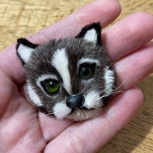 Taxidermy unique statement cat kitty head broach